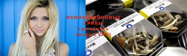 jwh Богородск