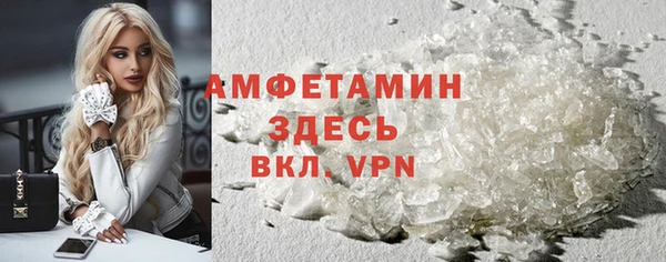 крисы Бородино