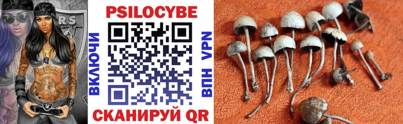 продажа наркотиков  Среднеуральск  Галлюциногенные грибы Psilocybine cubensis 