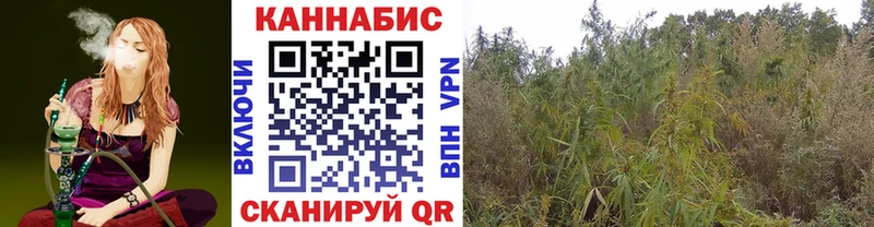 где купить наркотик  Среднеуральск  ссылка на мегу ONION  Бошки марихуана SATIVA & INDICA 